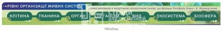 Стенди для кабінету біології – комплект навчальних плакатів та портретів вчених 8