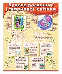 Стенд 