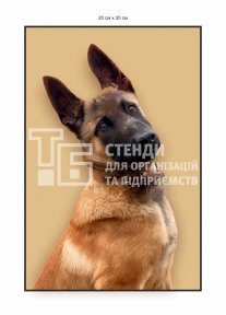 Табличка на ворота 