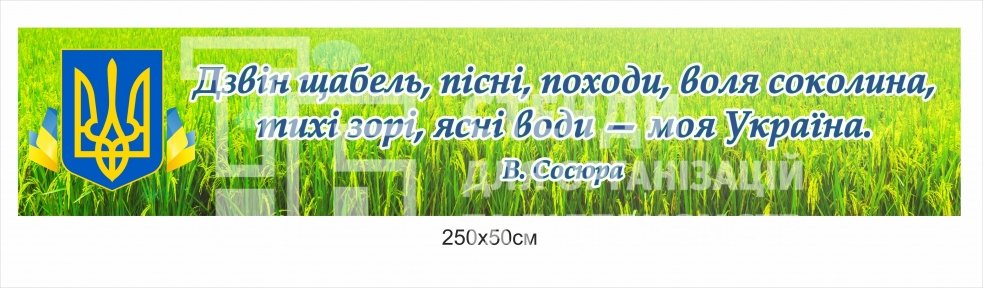 Банер з віршем В. Сосюри