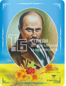 Портрет Т.Г. Шевченко