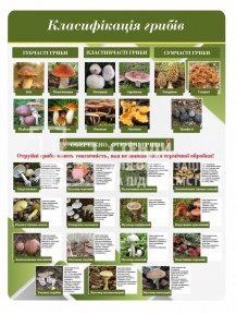 Стенд для кухарів 