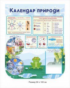Куточок природи в днз купити