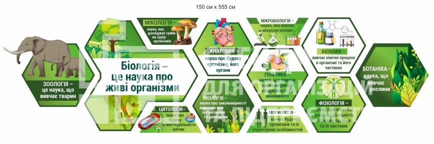 Композиція модульних стендів у кабінет біології
