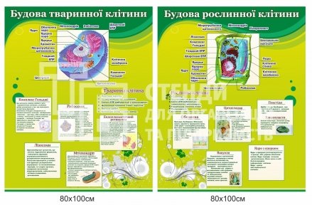 Стенди 