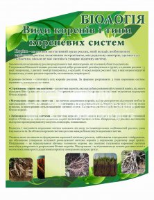 Стенд 