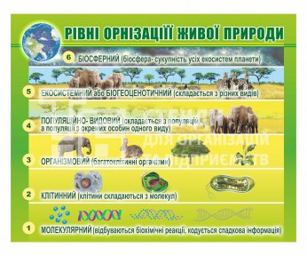 Стенд 