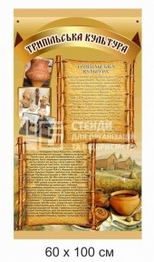 Трипільська культура - стенд