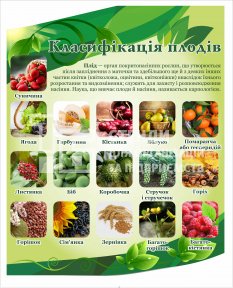 Стенд 