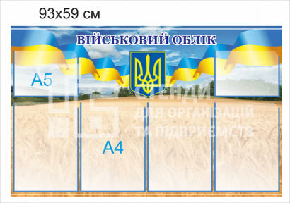 Військовий облік на підприємстві пластиковий