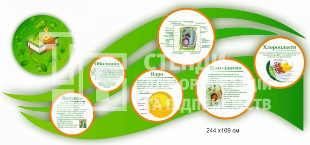 Інформаційний стенд купити для кабінету біології