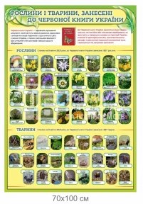 Рослини і тварини, занесені до Червоної книги України - стенд