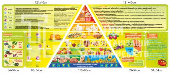 Раціон харчування