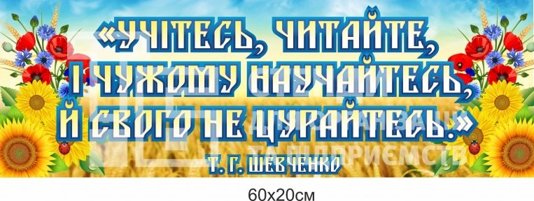 Учітесь, читайте, і чужому научайтесь, й свого не цурайтесь. Вислів на пластику