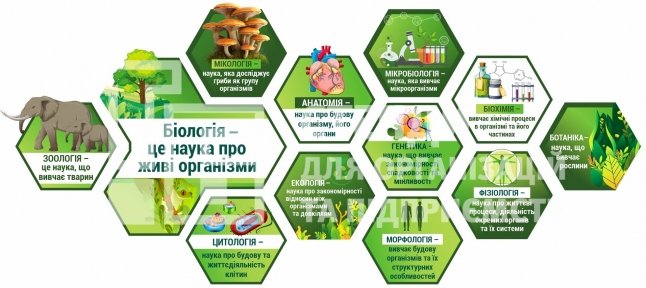 Набір стендів 