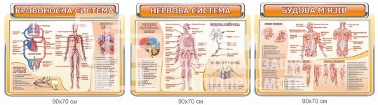 Комплект стендів у кабінет біології 