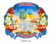 Державні символи України для дітей пластикові