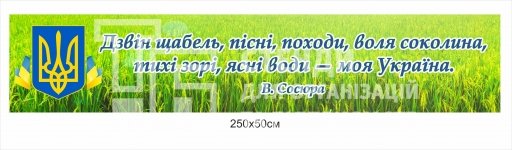 Банер з віршем В. Сосюри