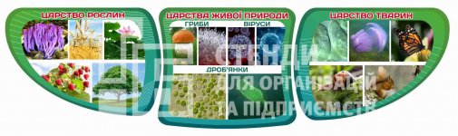 Комплект стендів 