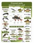 Стенд для кухарів 