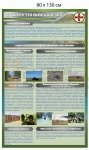 Сухопутні війська України