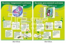 Стенди 