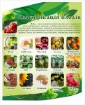 Стенд 