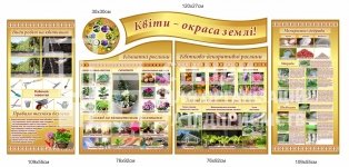 Набір стендів 