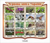 Червона книга України