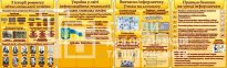 Комплект стендів в кабінет інформатики